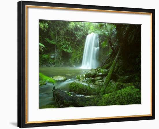 Beauchamp Fall, Waterfall in the Rainforest, Otway N.P., Great Ocean Road, Victoria, Australia-Thorsten Milse-Framed Photographic Print