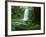 Beauchamp Fall, Waterfall in the Rainforest, Otway N.P., Great Ocean Road, Victoria, Australia-Thorsten Milse-Framed Photographic Print