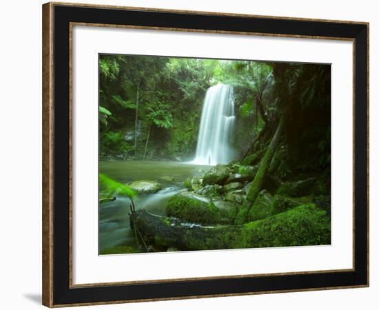 Beauchamp Fall, Waterfall in the Rainforest, Otway N.P., Great Ocean Road, Victoria, Australia-Thorsten Milse-Framed Photographic Print