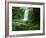 Beauchamp Fall, Waterfall in the Rainforest, Otway N.P., Great Ocean Road, Victoria, Australia-Thorsten Milse-Framed Photographic Print