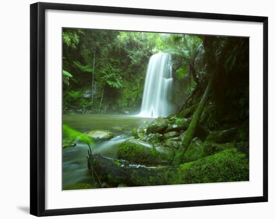 Beauchamp Fall, Waterfall in the Rainforest, Otway N.P., Great Ocean Road, Victoria, Australia-Thorsten Milse-Framed Photographic Print