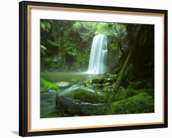 Beauchamp Fall, Waterfall in the Rainforest, Otway N.P., Great Ocean Road, Victoria, Australia-Thorsten Milse-Framed Photographic Print