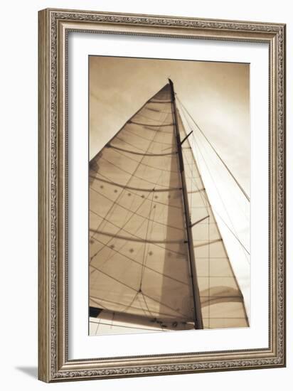 Beaufort Sails I-Alan Hausenflock-Framed Photographic Print