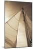 Beaufort Sails II-Alan Hausenflock-Mounted Photographic Print