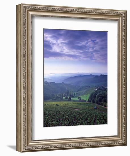 Beaujolais, Soane-Et-Loire, Burgundy, France-Doug Pearson-Framed Photographic Print