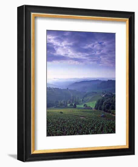 Beaujolais, Soane-Et-Loire, Burgundy, France-Doug Pearson-Framed Photographic Print