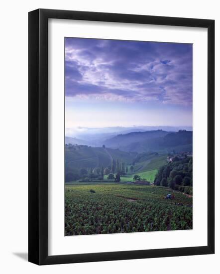 Beaujolais, Soane-Et-Loire, Burgundy, France-Doug Pearson-Framed Photographic Print