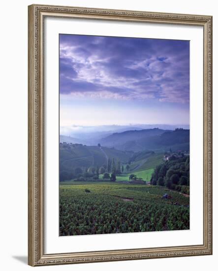 Beaujolais, Soane-Et-Loire, Burgundy, France-Doug Pearson-Framed Photographic Print