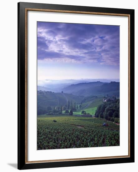 Beaujolais, Soane-Et-Loire, Burgundy, France-Doug Pearson-Framed Photographic Print