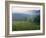 Beaujolais, Soane-Et-Loire, Burgundy, France-Doug Pearson-Framed Photographic Print