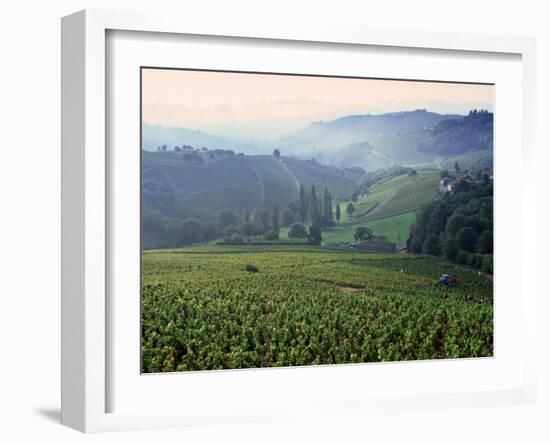 Beaujolais, Soane-Et-Loire, Burgundy, France-Doug Pearson-Framed Photographic Print