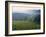 Beaujolais, Soane-Et-Loire, Burgundy, France-Doug Pearson-Framed Photographic Print