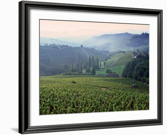 Beaujolais, Soane-Et-Loire, Burgundy, France-Doug Pearson-Framed Photographic Print