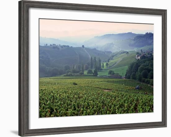 Beaujolais, Soane-Et-Loire, Burgundy, France-Doug Pearson-Framed Photographic Print