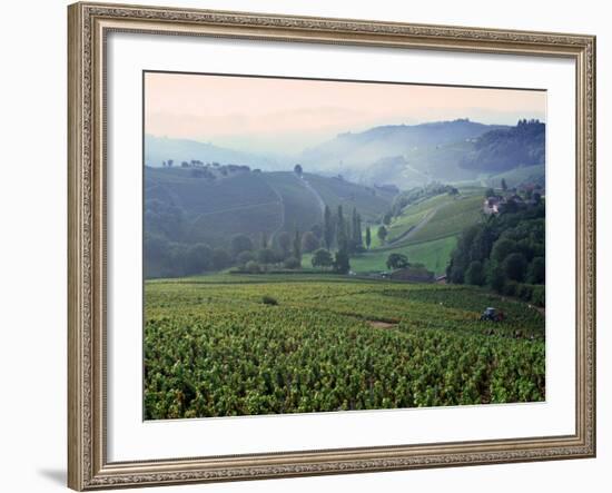 Beaujolais, Soane-Et-Loire, Burgundy, France-Doug Pearson-Framed Photographic Print