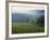 Beaujolais, Soane-Et-Loire, Burgundy, France-Doug Pearson-Framed Photographic Print