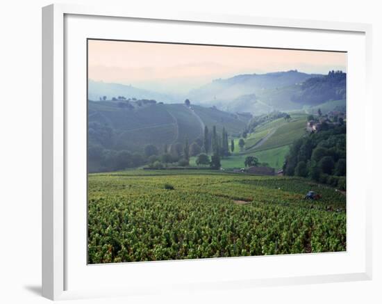 Beaujolais, Soane-Et-Loire, Burgundy, France-Doug Pearson-Framed Photographic Print