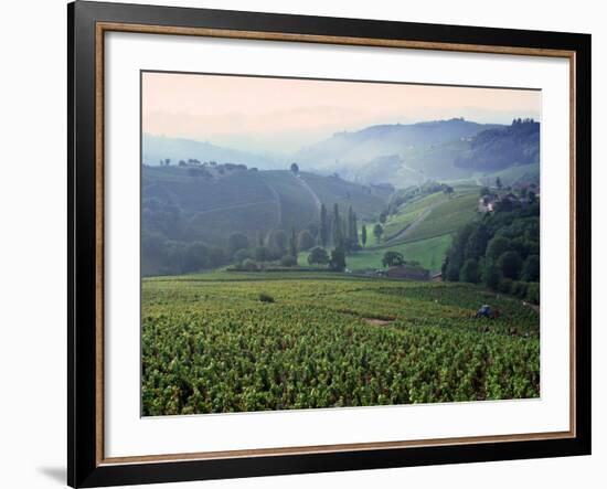 Beaujolais, Soane-Et-Loire, Burgundy, France-Doug Pearson-Framed Photographic Print