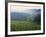 Beaujolais, Soane-Et-Loire, Burgundy, France-Doug Pearson-Framed Photographic Print