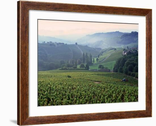 Beaujolais, Soane-Et-Loire, Burgundy, France-Doug Pearson-Framed Photographic Print