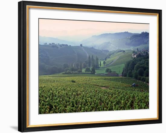 Beaujolais, Soane-Et-Loire, Burgundy, France-Doug Pearson-Framed Photographic Print