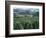 Beaujolais Vineyards, Beaujeau Village, Rhone Valley, France-David Hughes-Framed Photographic Print