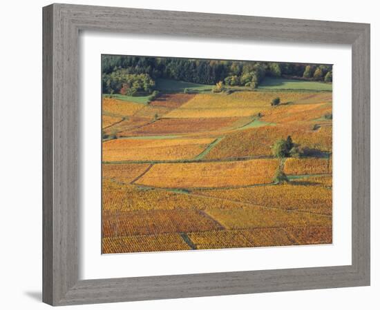 Beaujolais Vineyards Near Beuajeu, Rhone Alpes, France-Michael Busselle-Framed Photographic Print