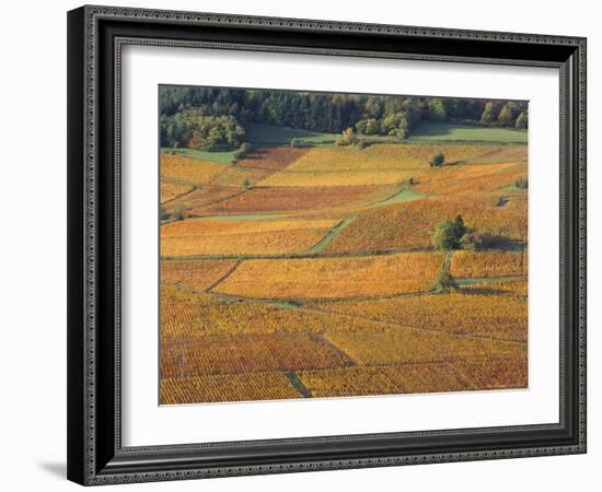 Beaujolais Vineyards Near Beuajeu, Rhone Alpes, France-Michael Busselle-Framed Photographic Print