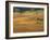 Beaujolais Vineyards Near Beuajeu, Rhone Alpes, France-Michael Busselle-Framed Photographic Print