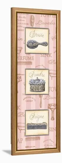 Beaute Feminine Panel II-Charlene Audrey-Framed Stretched Canvas