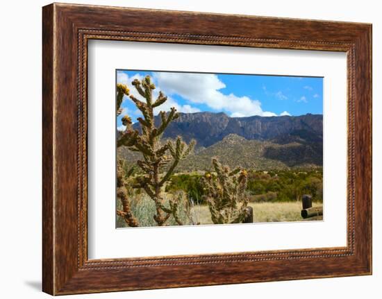 Beautiful Albuquerque Landscape with the Sandia Mountains-pdb1-Framed Photographic Print