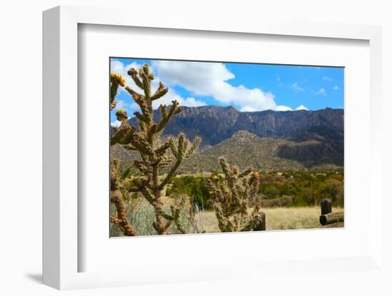 Beautiful Albuquerque Landscape with the Sandia Mountains-pdb1-Framed Photographic Print