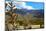 Beautiful Albuquerque Landscape with the Sandia Mountains-pdb1-Mounted Photographic Print