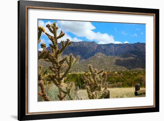 Beautiful Albuquerque Landscape with the Sandia Mountains-pdb1-Framed Photographic Print