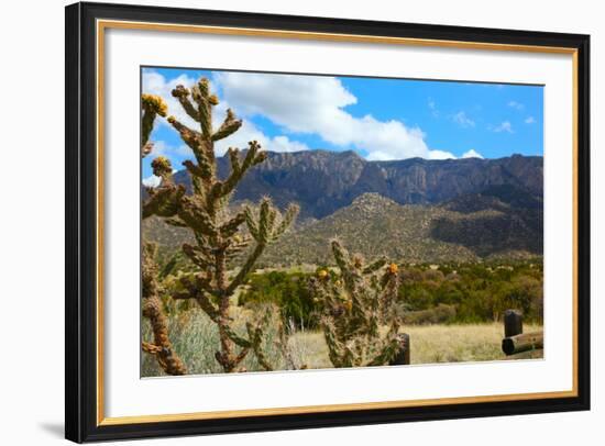 Beautiful Albuquerque Landscape with the Sandia Mountains-pdb1-Framed Photographic Print