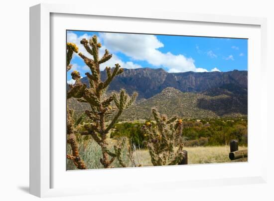Beautiful Albuquerque Landscape with the Sandia Mountains-pdb1-Framed Photographic Print