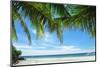 Beautiful Alona Beach at Panglao, Philippines-haveseen-Mounted Photographic Print