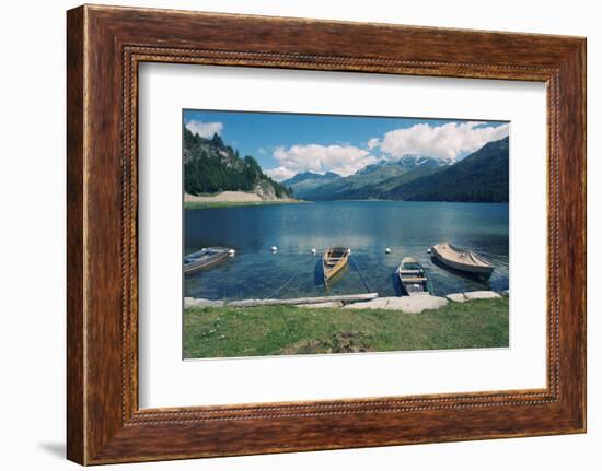 Beautiful Alpine Landscape (Valley of Engadin, Switzerland)-nagib-Framed Photographic Print