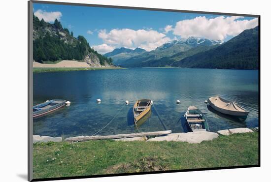 Beautiful Alpine Landscape (Valley of Engadin, Switzerland)-nagib-Mounted Photographic Print