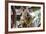 Beautiful and Awake Koala, Queensland, Australia, Pacific-Noelia Ramon-Framed Photographic Print