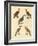 Beautiful and Foreign Woodpecker-null-Framed Giclee Print