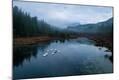 Premium Photographic Print