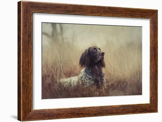 Beautiful Aragorn-Heike Willers-Framed Giclee Print