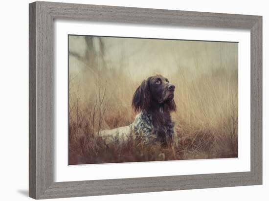 Beautiful Aragorn-Heike Willers-Framed Giclee Print