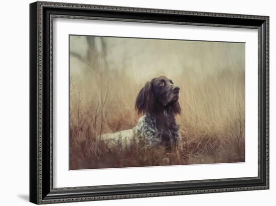 Beautiful Aragorn-Heike Willers-Framed Giclee Print