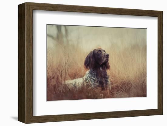 Beautiful Aragorn-Heike Willers-Framed Photographic Print