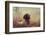 Beautiful Aragorn-Heike Willers-Framed Photographic Print