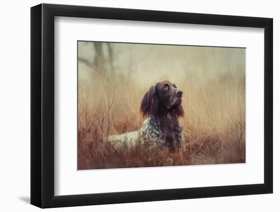 Beautiful Aragorn-Heike Willers-Framed Photographic Print