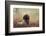 Beautiful Aragorn-Heike Willers-Framed Photographic Print