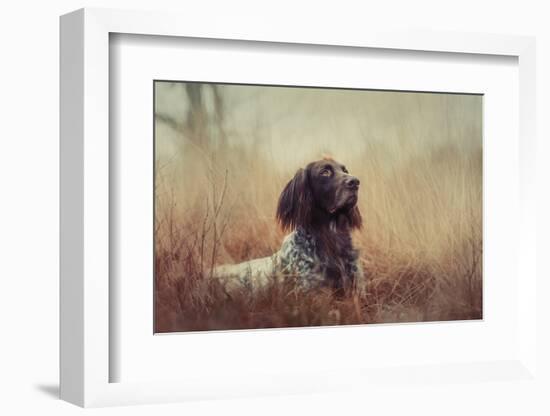 Beautiful Aragorn-Heike Willers-Framed Photographic Print